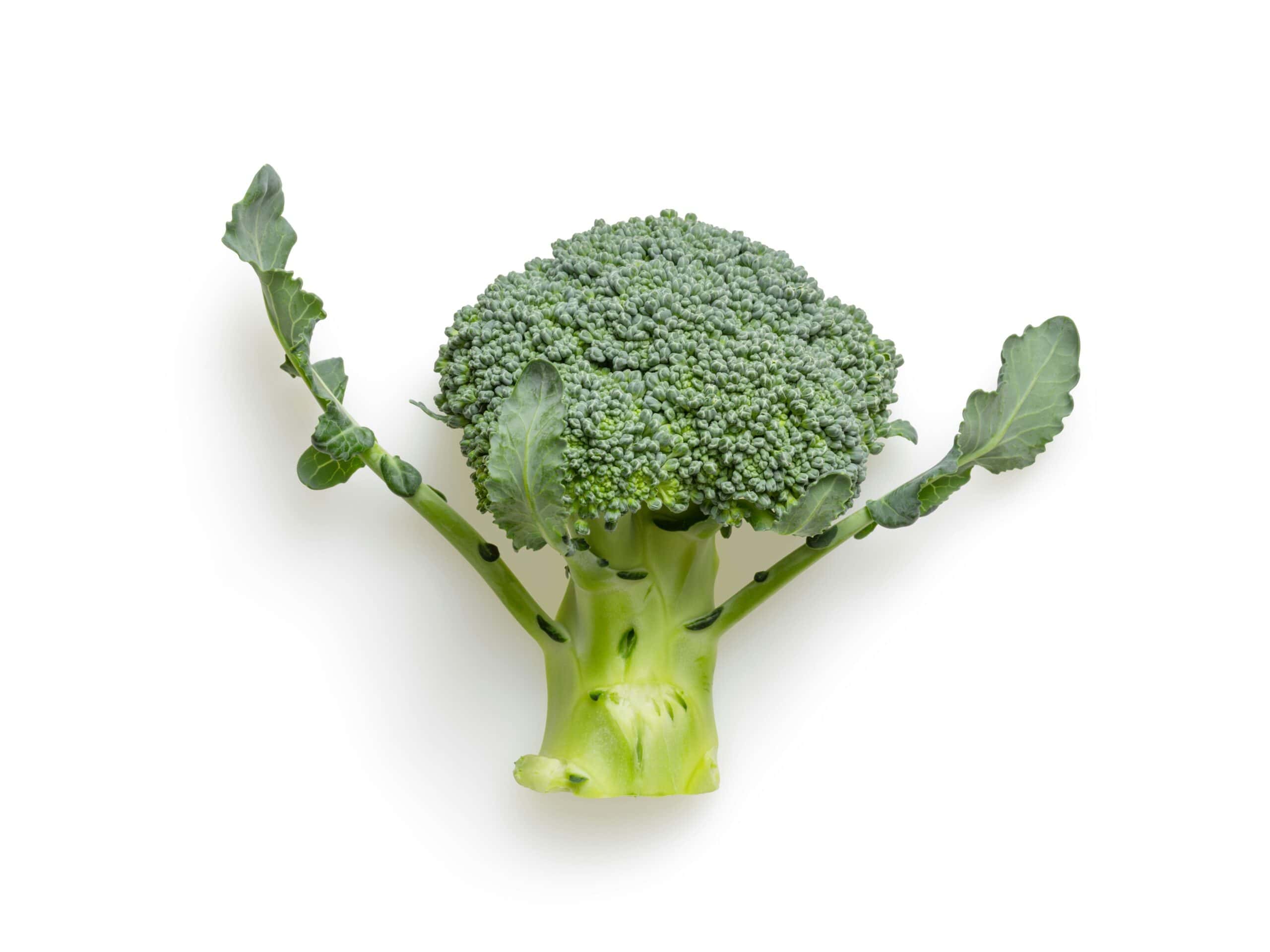 sulforaphane